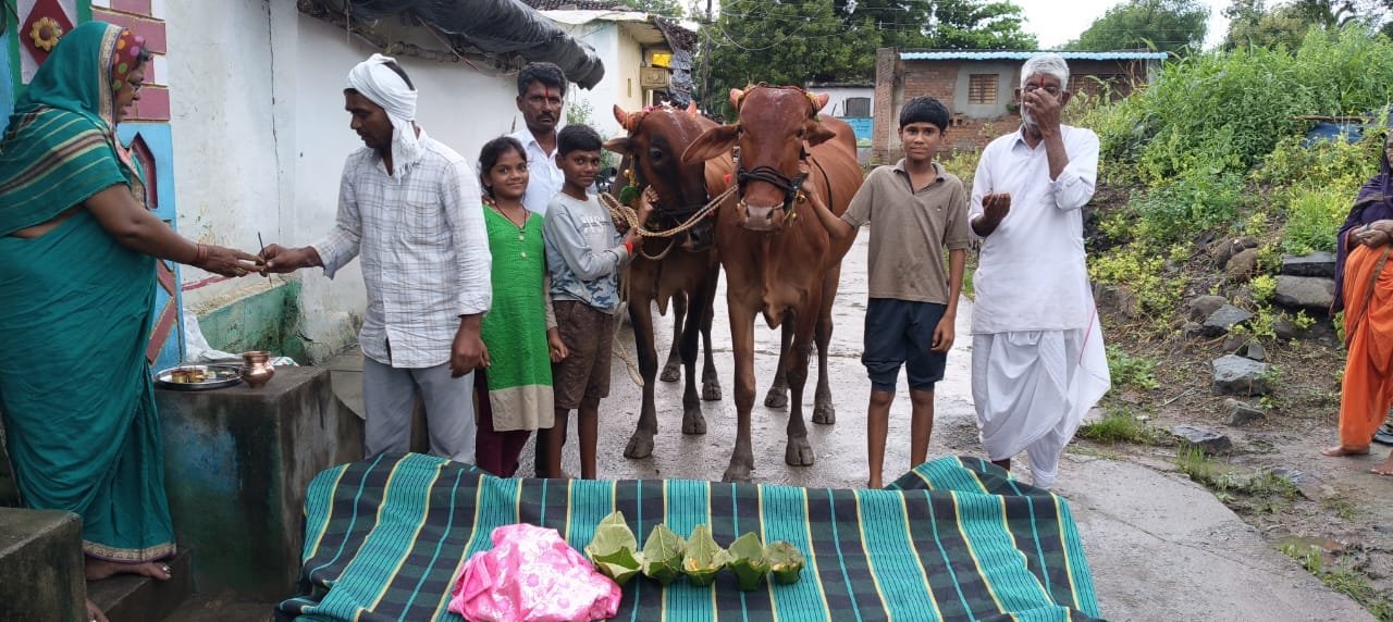 పొలాల అమావాస్య సందర్భంగా బసవన్నలకు అలంకారాలు, పూజలు.