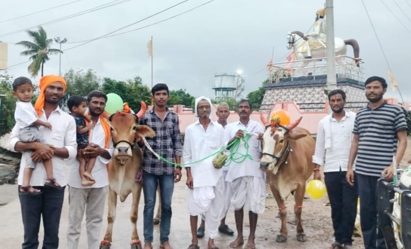 Polala Amavasya Celebrations in Mudhol with Decorated Basavannas