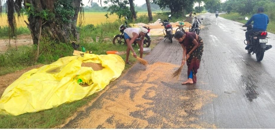 Paddy Farmers Struggling Due to Rain in Bhingal