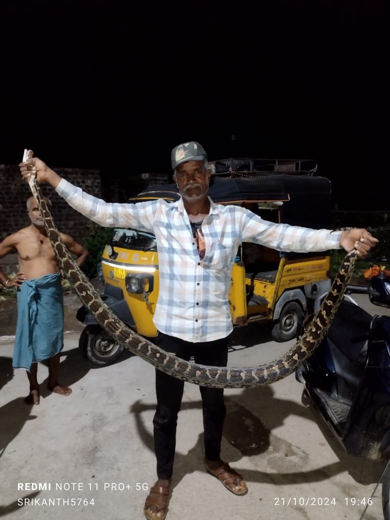 : Huge Snake Found in Basar