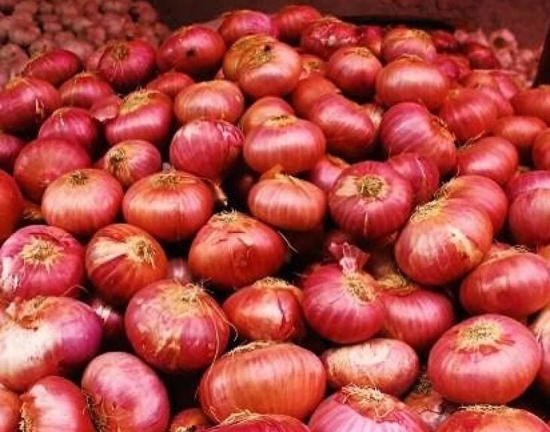 Onion Price Increase