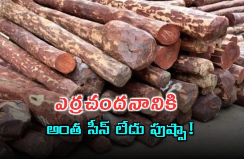 ఎర్రచందనం దుంగల మార్కెట్ పరిస్థితి