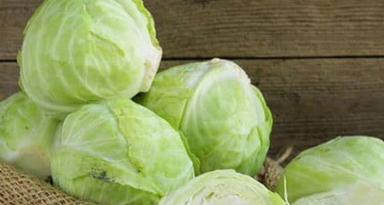 Health benefits of cabbage for diabetes, heart health, and weight loss