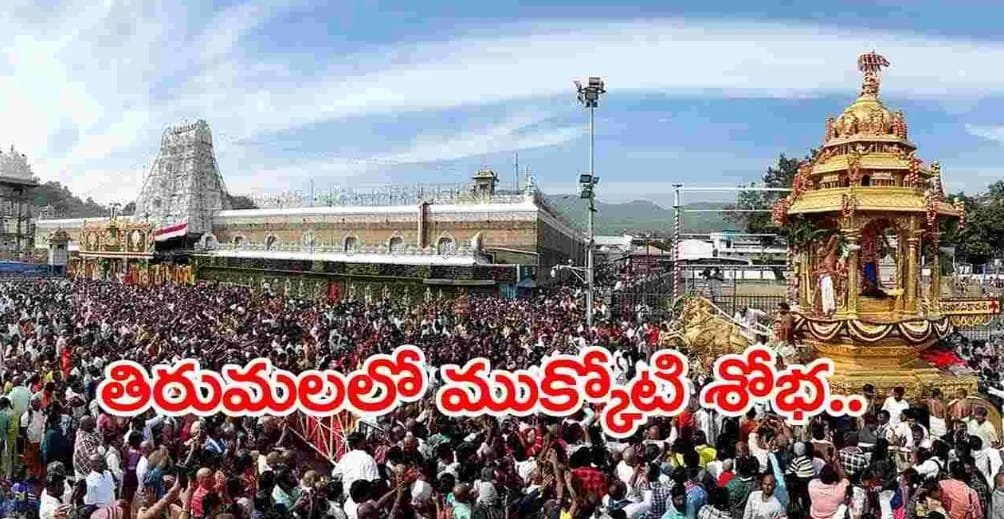 తిరుమల వైకుంఠ ద్వార దర్శనం, భక్తుల ప్రత్యేక దర్శనం