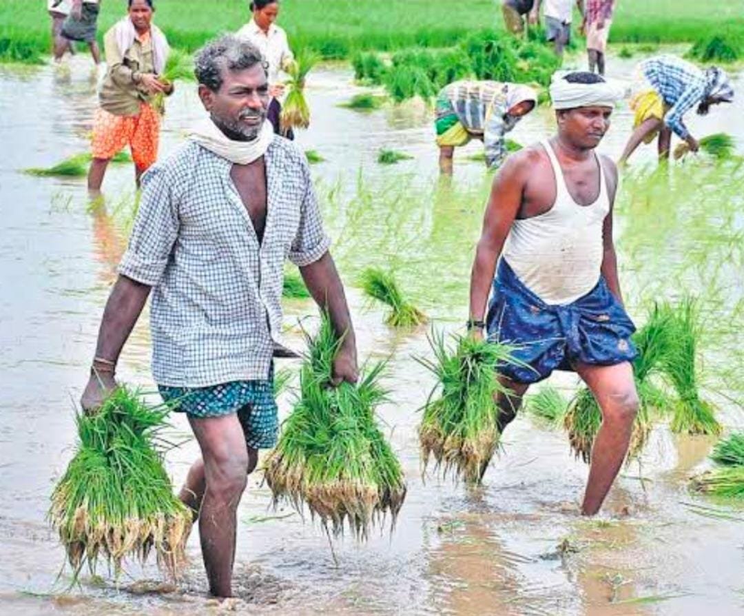 రైతు ఖాతాలో రైతు భరోసా నిధులు