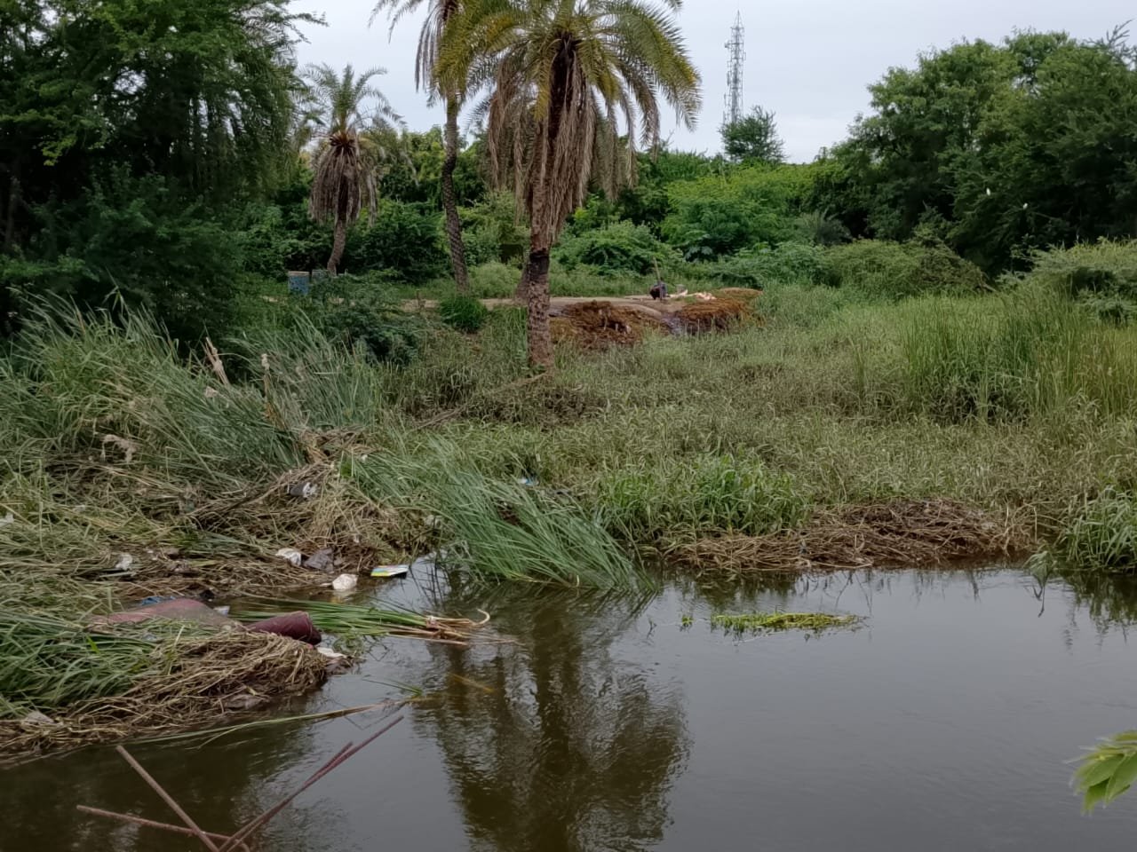 రుద్రూర్ కమీలిపై అధికారుల నిర్లక్ష్యం