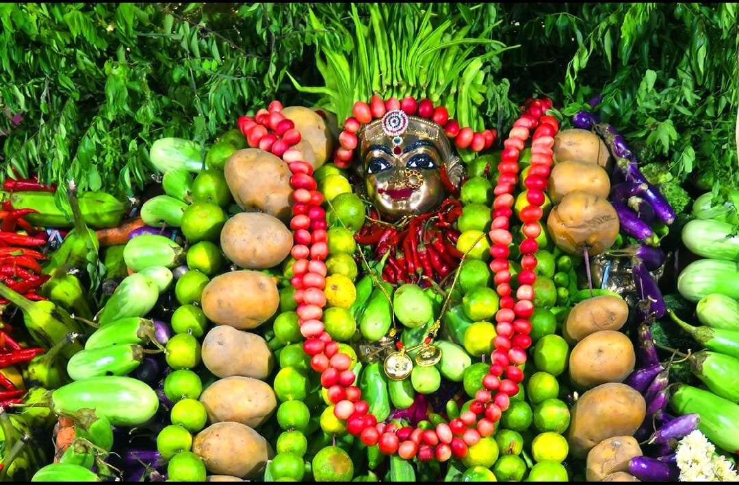 ఇంద్రకీలాద్రిపై శాకాంబరీ ఉత్సవాలు ప్రారంభం