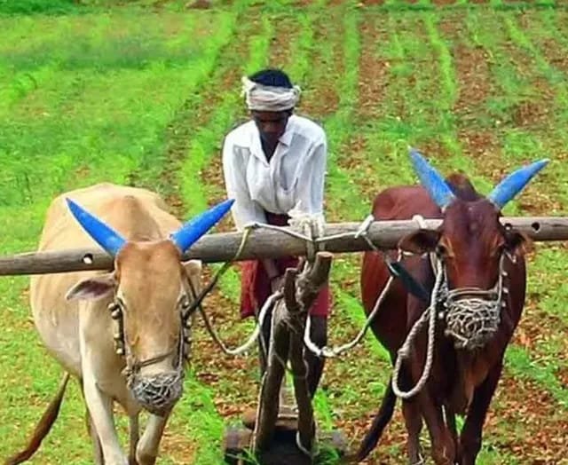 AUG 2న అకౌంట్లోకి పీఎం కిసాన్ నిధులు